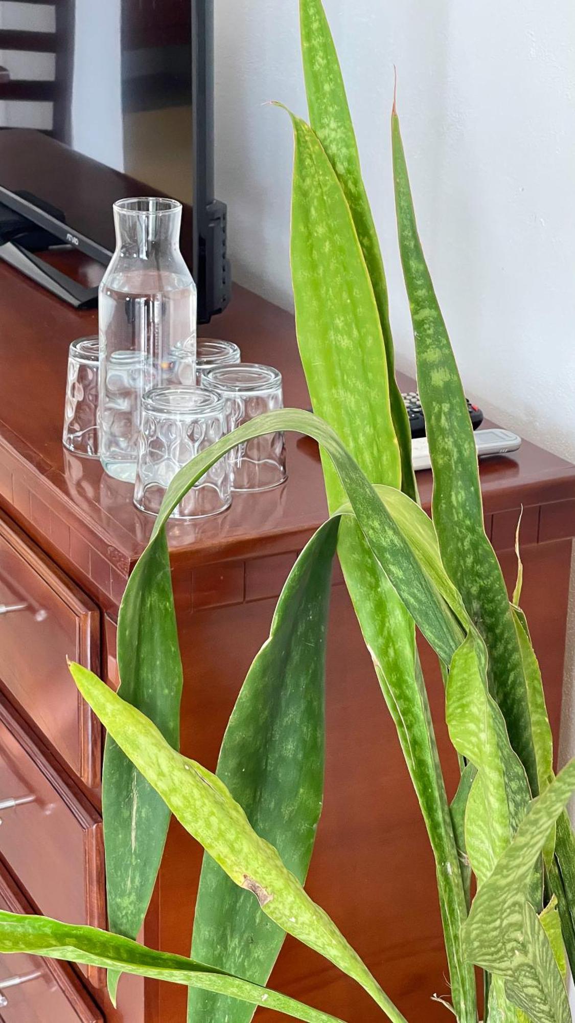 Quinta Alberto Boutique Hotel San Blas Oda fotoğraf